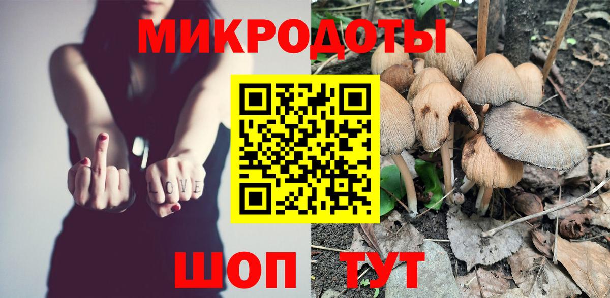 Псилоцибиновые грибы Psilocybe Чехов